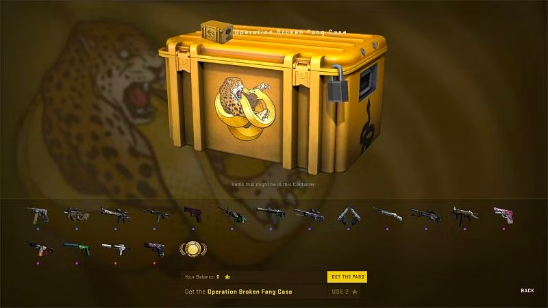 Which CS:GO 2 Case is Best to Open 2