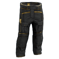 Buy Black Gold Pants – price from $1.88 - Buy skins on Skin.Land